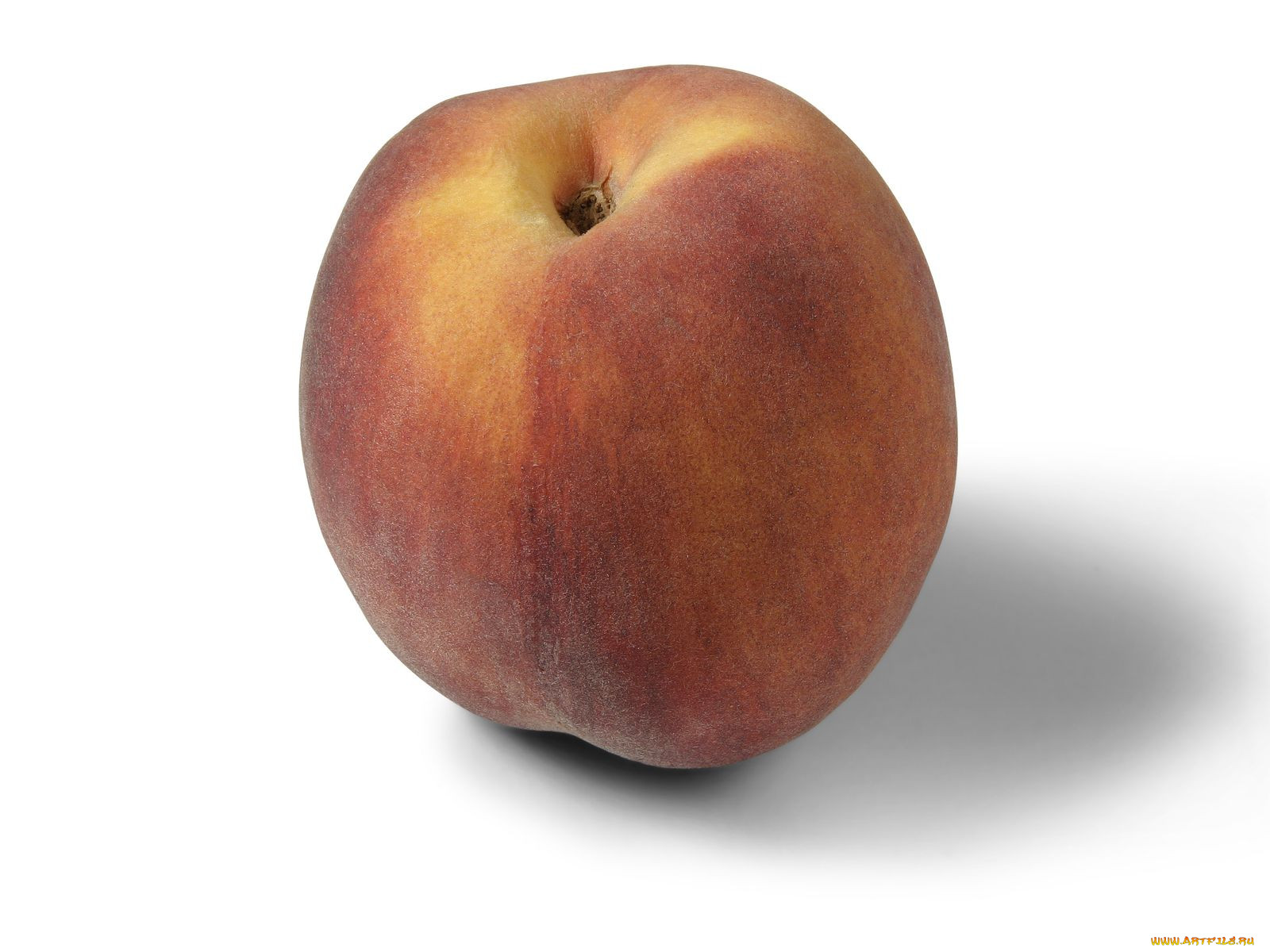 , , , 